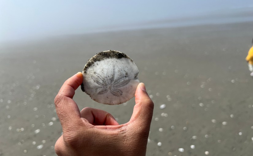 Belated Happy Birthday To&nbsp;Me